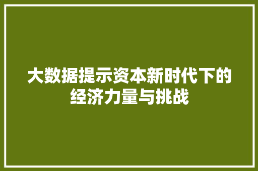 大数据提示资本新时代下的经济力量与挑战