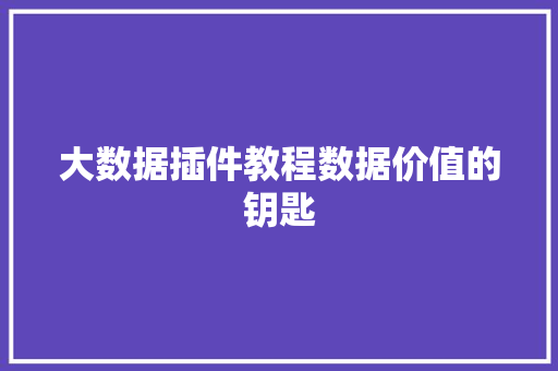 大数据插件教程数据价值的钥匙  第1张