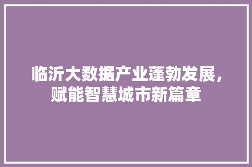 临沂大数据产业蓬勃发展，赋能智慧城市新篇章