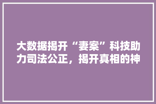 大数据揭开“妻案”科技助力司法公正，揭开真相的神秘面纱  第1张