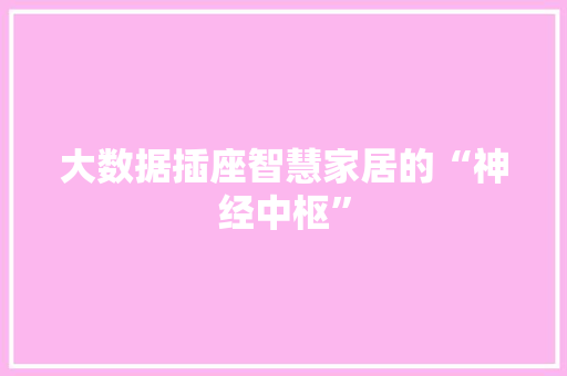大数据插座智慧家居的“神经中枢”