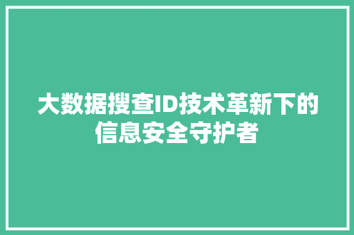 大数据搜查ID技术革新下的信息安全守护者