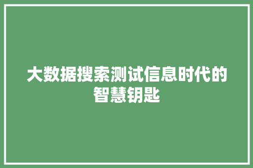 大数据搜索测试信息时代的智慧钥匙  第1张
