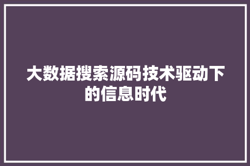 大数据搜索源码技术驱动下的信息时代