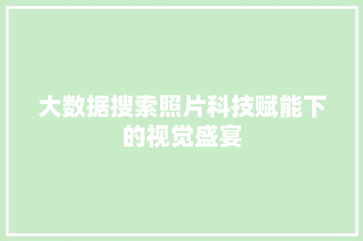 大数据搜索照片科技赋能下的视觉盛宴  第1张
