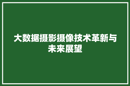 大数据摄影摄像技术革新与未来展望