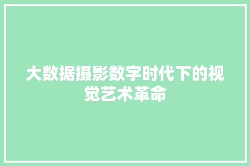 大数据摄影数字时代下的视觉艺术革命