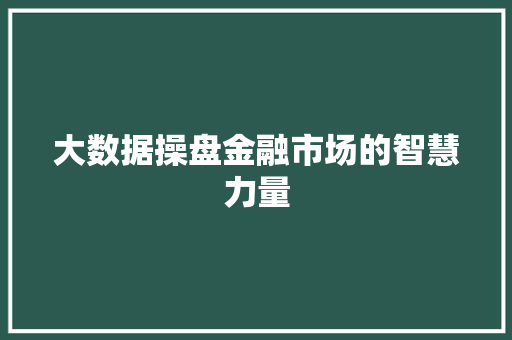 大数据操盘金融市场的智慧力量