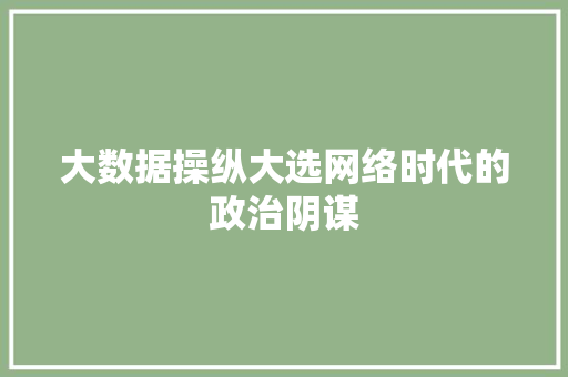 大数据操纵大选网络时代的政治阴谋