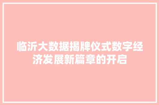临沂大数据揭牌仪式数字经济发展新篇章的开启