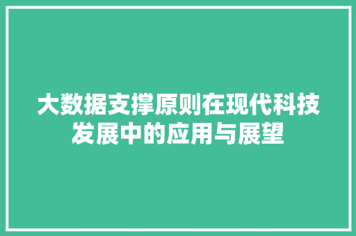 大数据支撑原则在现代科技发展中的应用与展望