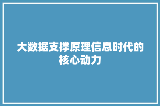 大数据支撑原理信息时代的核心动力