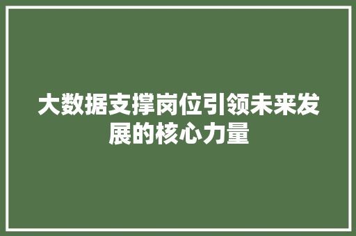 大数据支撑岗位引领未来发展的核心力量