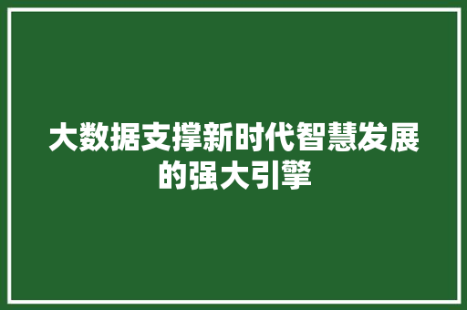 大数据支撑新时代智慧发展的强大引擎