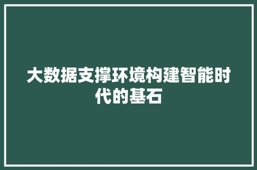 大数据支撑环境构建智能时代的基石