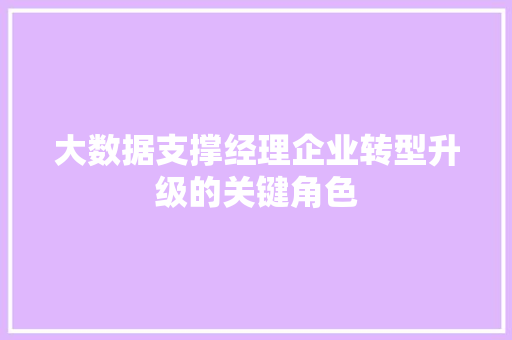 大数据支撑经理企业转型升级的关键角色