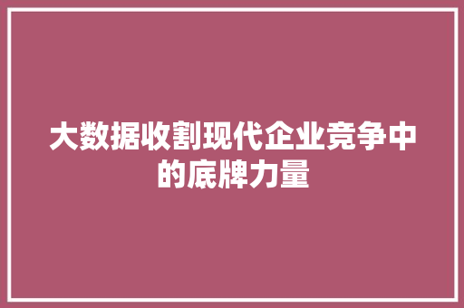 大数据收割现代企业竞争中的底牌力量
