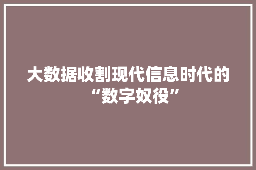 大数据收割现代信息时代的“数字奴役”
