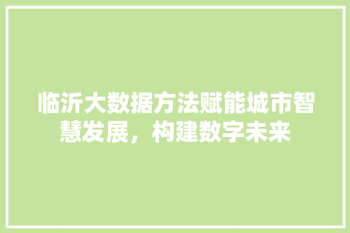 临沂大数据方法赋能城市智慧发展，构建数字未来