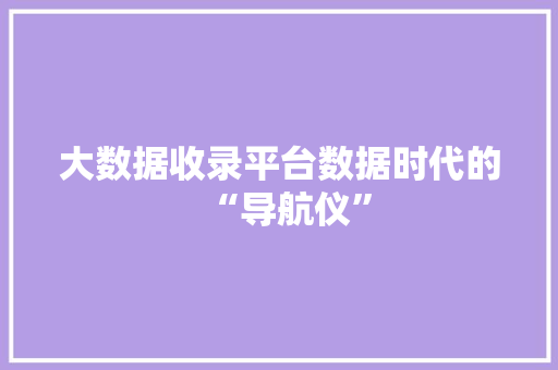 大数据收录平台数据时代的“导航仪”