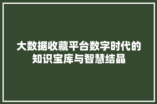 大数据收藏平台数字时代的知识宝库与智慧结晶