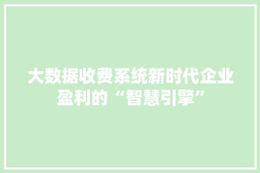 大数据收费系统新时代企业盈利的“智慧引擎”