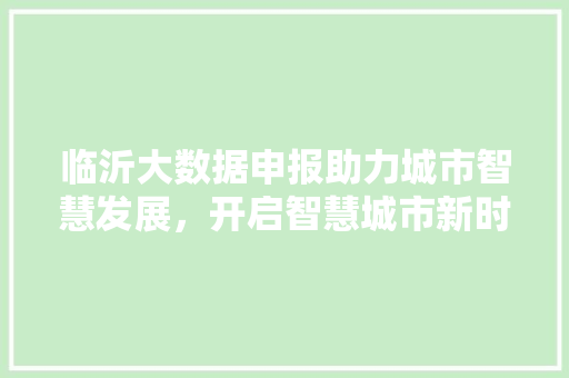 临沂大数据申报助力城市智慧发展，开启智慧城市新时代