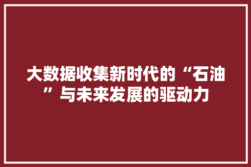 大数据收集新时代的“石油”与未来发展的驱动力  第1张