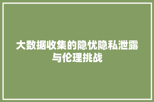 大数据收集的隐忧隐私泄露与伦理挑战