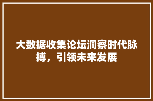 大数据收集论坛洞察时代脉搏，引领未来发展  第1张