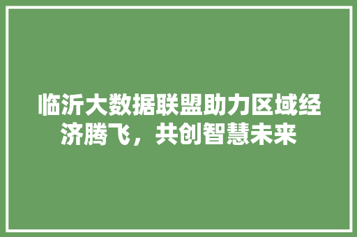 临沂大数据联盟助力区域经济腾飞，共创智慧未来