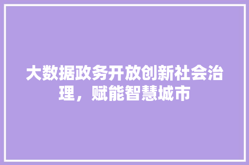 大数据政务开放创新社会治理，赋能智慧城市