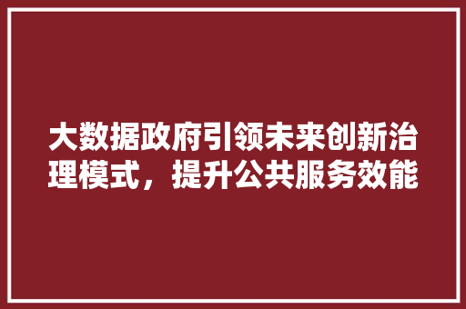 大数据政府引领未来创新治理模式，提升公共服务效能
