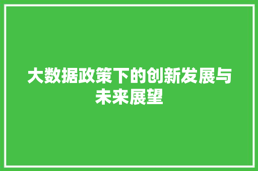 大数据政策下的创新发展与未来展望