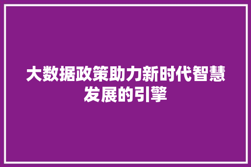 大数据政策助力新时代智慧发展的引擎