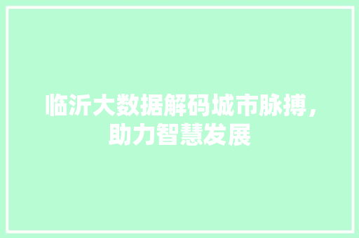 临沂大数据解码城市脉搏，助力智慧发展