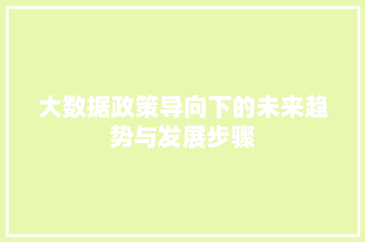 大数据政策导向下的未来趋势与发展步骤