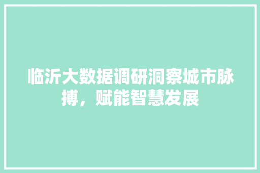临沂大数据调研洞察城市脉搏，赋能智慧发展