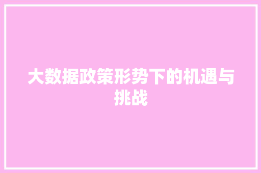 大数据政策形势下的机遇与挑战  第1张