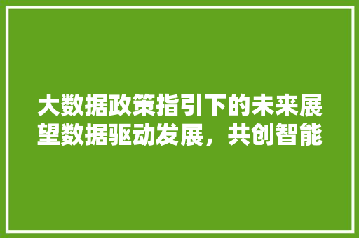 大数据政策指引下的未来展望数据驱动发展，共创智能时代  第1张