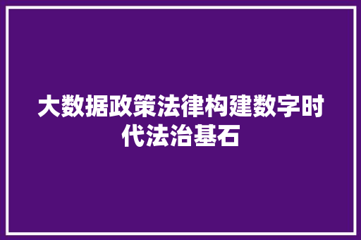 大数据政策法律构建数字时代法治基石