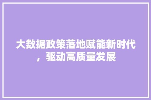 大数据政策落地赋能新时代，驱动高质量发展