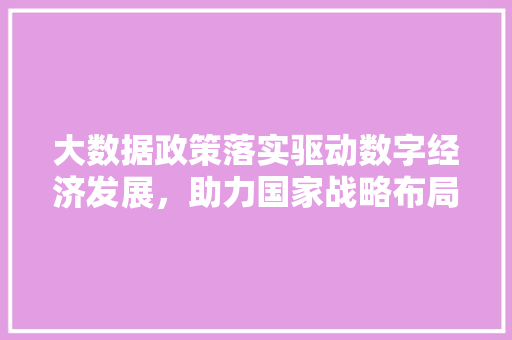 大数据政策落实驱动数字经济发展，助力国家战略布局  第1张