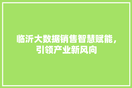 临沂大数据销售智慧赋能，引领产业新风向