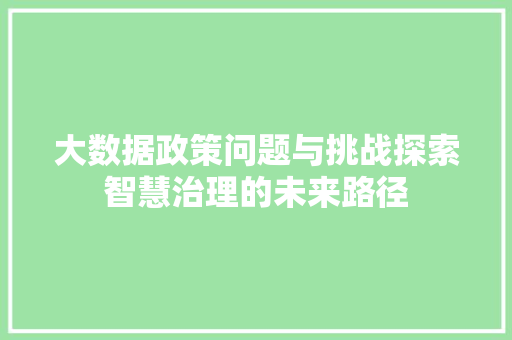 大数据政策问题与挑战探索智慧治理的未来路径  第1张