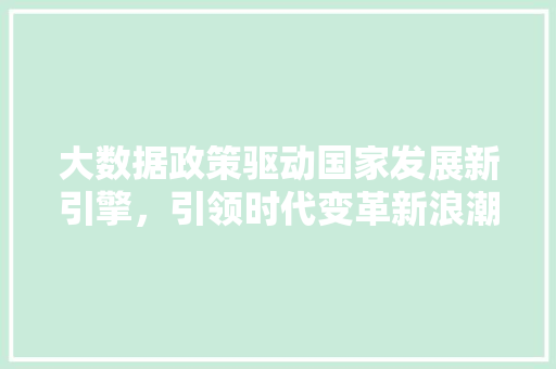 大数据政策驱动国家发展新引擎，引领时代变革新浪潮  第1张