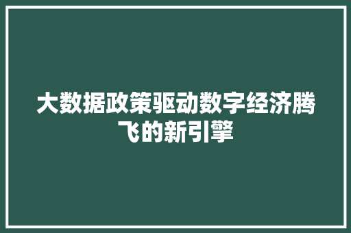 大数据政策驱动数字经济腾飞的新引擎  第1张