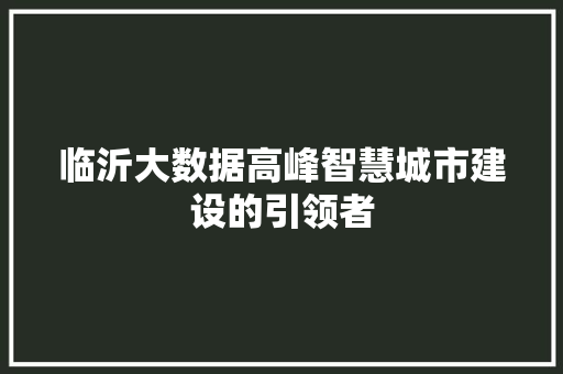 临沂大数据高峰智慧城市建设的引领者