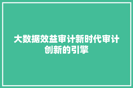 大数据效益审计新时代审计创新的引擎  第1张