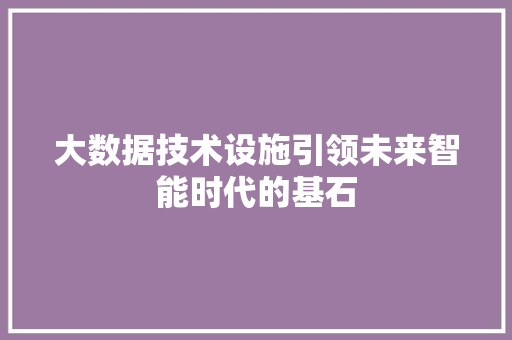 大数据技术设施引领未来智能时代的基石